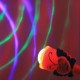 Hochet Lumineux et Musical style "kaléidoscope"