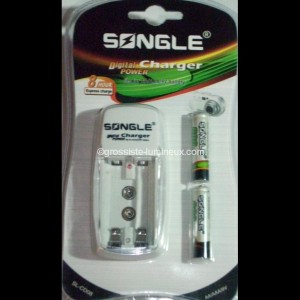 Chargeur de Piles AAA, 9V