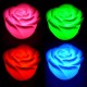 Veilleuse Lumineuse "Fleur"
